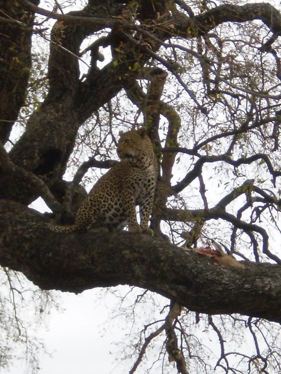 Manzini River House - Mjejane Private Game Reserve, Greater Kruger National Park Hectorspruit Zewnętrze zdjęcie