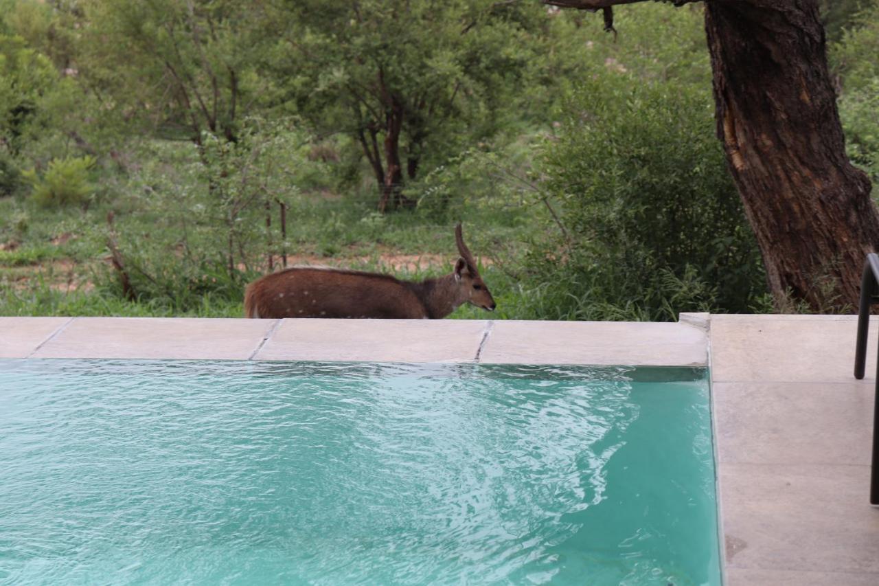 Manzini River House - Mjejane Private Game Reserve, Greater Kruger National Park Hectorspruit Zewnętrze zdjęcie